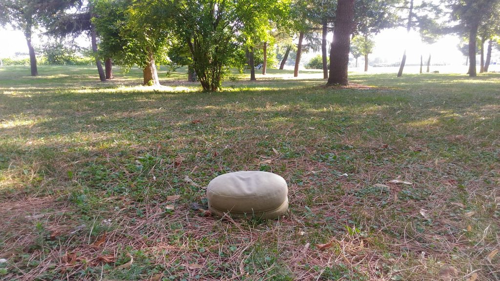 cio che è accaduto-scaled